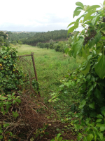 Bouwgrond in Casal da Fonte, Vestiaria