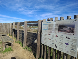 Vogelobservatorium van Lagoa dos Salgados