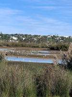 Eerste kennismaking met de Algarve in 2 dagen