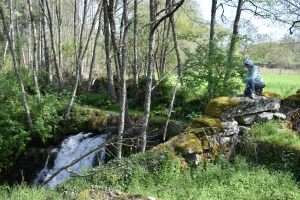 Dag 5: Van schommel naar schommel en wandelweg PR6 MCT: Route dos Moinhos