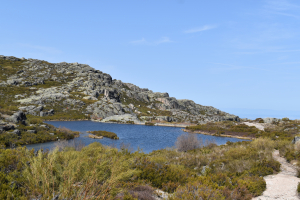 Op weg van Lagoa Comprida naar Covão dos Conchos