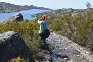 Op weg van Lagoa Comprida naar Covão dos Conchos
