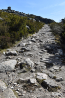 Op weg van Lagoa Comprida naar Covão dos Conchos