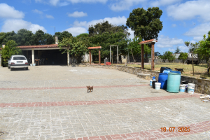 Authentieke woning in Lagoa de Cão