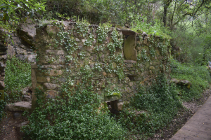 Fragas de São Simão