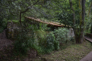 Fragas de São Simão
