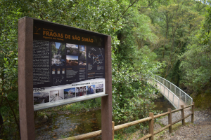 Fragas de São Simão