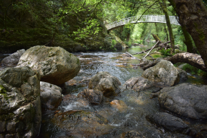 Fragas de São Simão