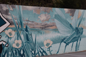 Mural Nadadouro