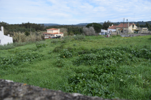 Nieuwbouwwoning te Mouraria, Tornada e Salir do Porto