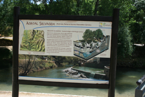 Praia Fluvial do Agroal