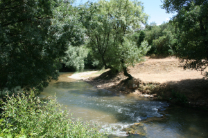 Praia Fluvial do Agroal