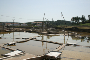 Salinas de Rio Maior