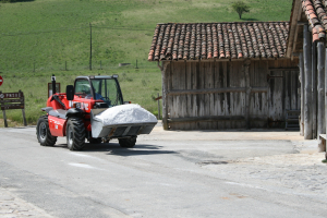 Salinas de Rio Maior