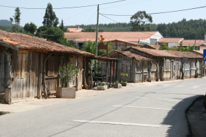 Salinas de Rio Maior