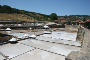 Salinas de Rio Maior