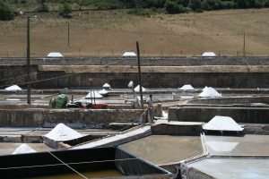 Salinas de Rio Maior