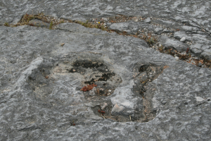 Monumento Natural das Pegadas de Dinossaurios