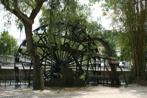 Parque do Mouchão, Tomar