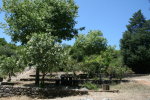 Grutas de Santo António