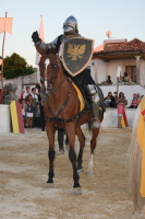 Aljubarrota Medieval