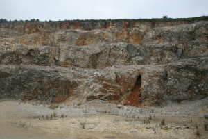 Ecopista Porto de Mós