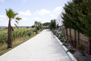 Landelijke boerderij met B&B potentieel in Landal, Caldas de Rainha
