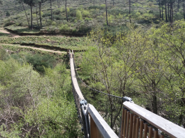 ponta de suspensa nummer 3