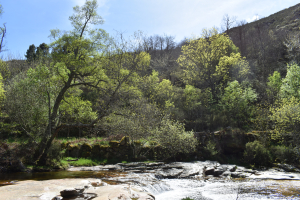 Dag 3: Gouveia en os Passadiços do Mondego