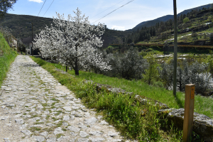 Dag 3: Gouveia en os Passadiços do Mondego