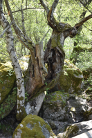 Dag 3: Gouveia en os Passadiços do Mondego