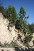 Praia Fluvial Olhos d'Água, Alcanena 