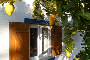 Compleet gerenoveerde authentieke hoeve, Serra do Bouro