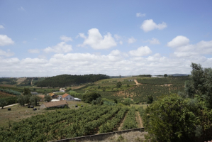 Landelijke boerderij met B&B potentieel in Landal, Caldas de Rainha